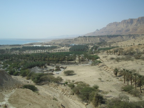 Ein Gedi